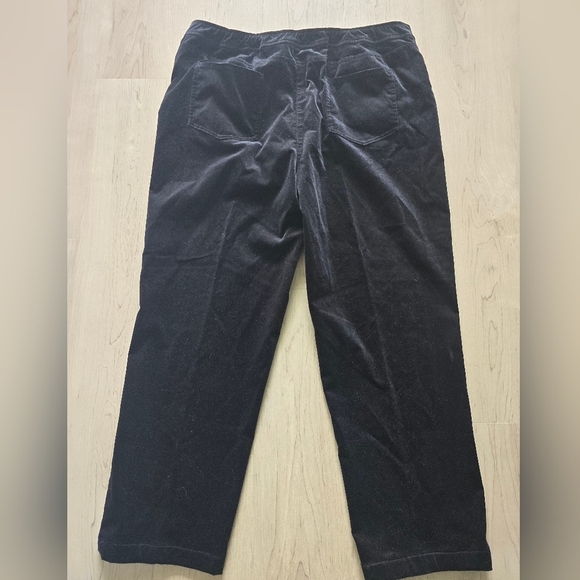 Eileen Fisher Woman Pull On Black Coudoury Pants 1X Straight Leg 36×30 - Picture 9 of 13